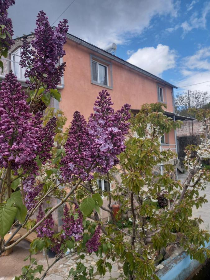 Byurakan Guesthouse & Cottage 外观 照片